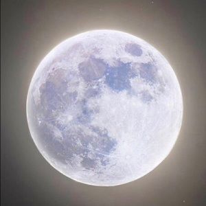 Meet your Posher, Garrett